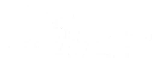NanoDegree LATAM